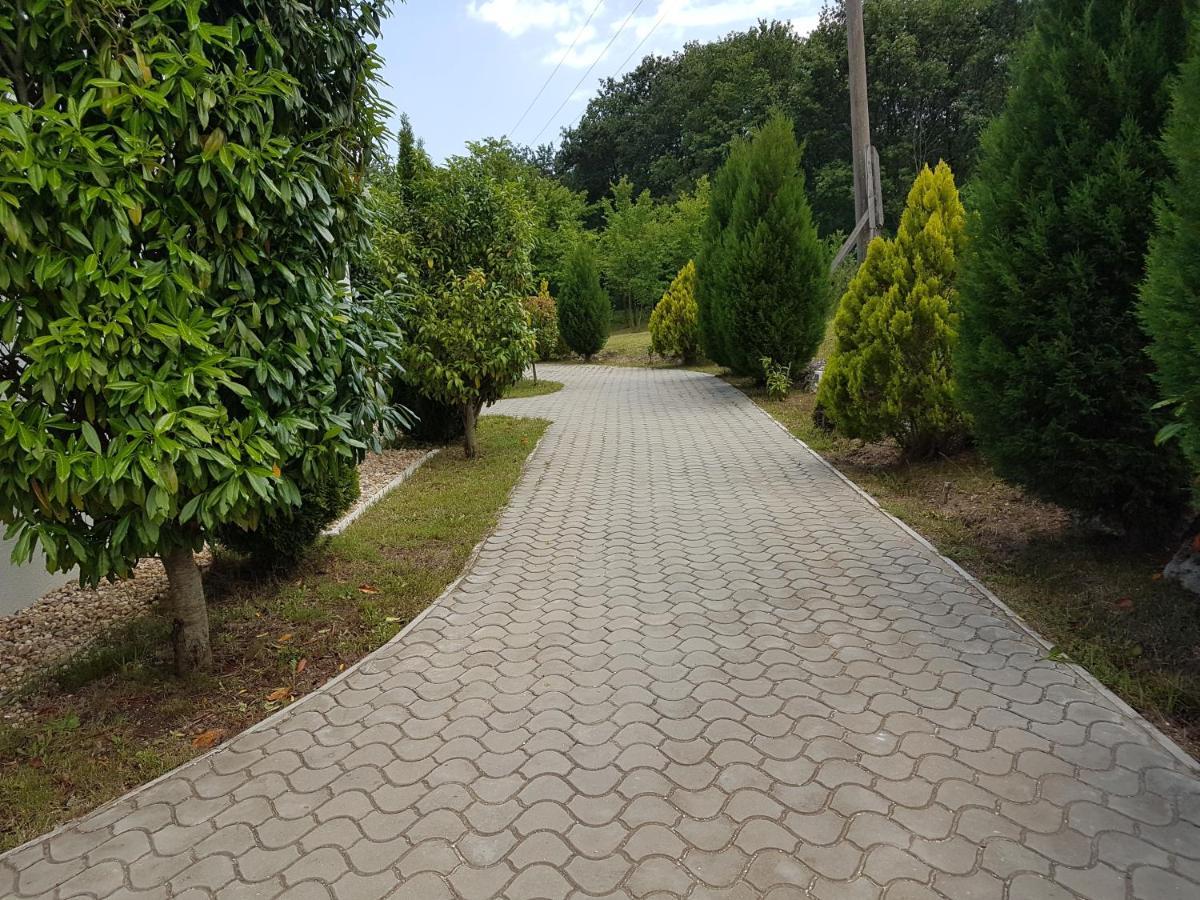 Zlaten Briz Villa Osenovo 外观 照片